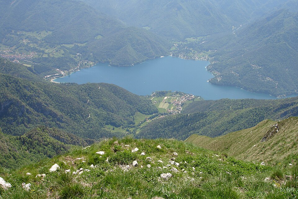Ledrosee