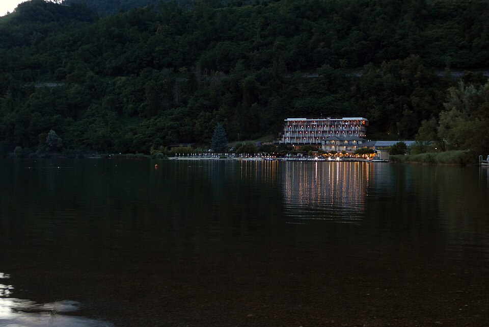 Levicosee